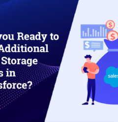 Are you Ready to Pay Additional Data Storage Costs in Salesforce?