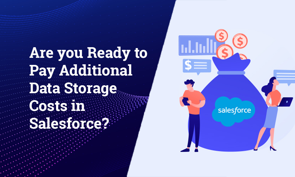 Are you Ready to Pay Additional Data Storage Costs in Salesforce?
